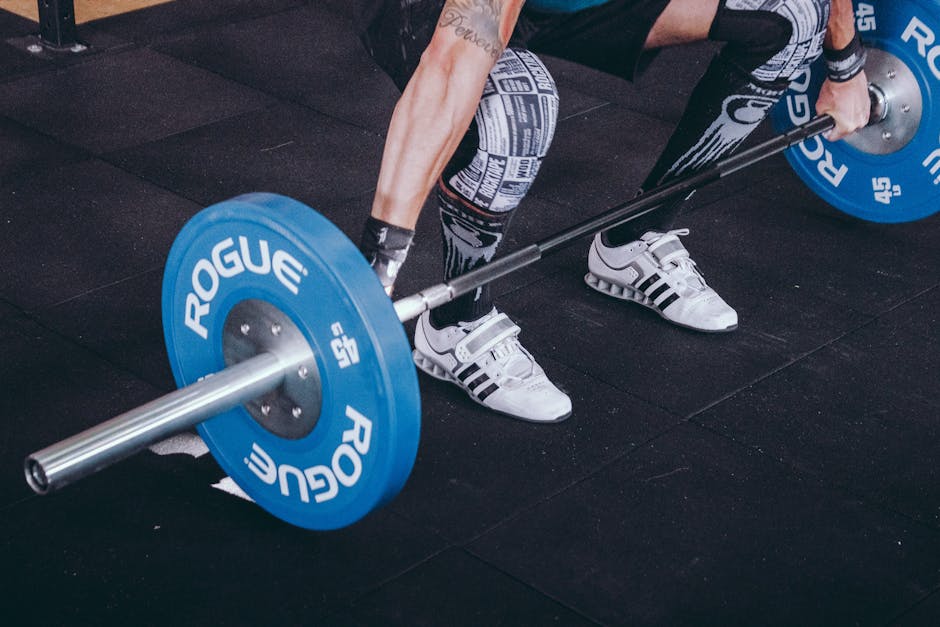 beginner weight lifting workout